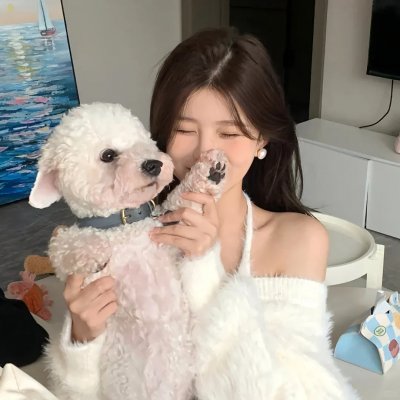陆昭昭的刺客笔记